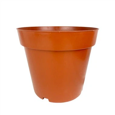 Potted Plastic Planter