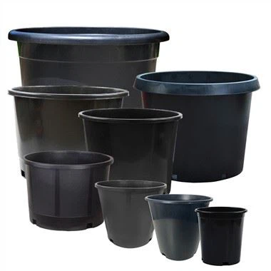 Round Gallon Nursery lauj kaub
