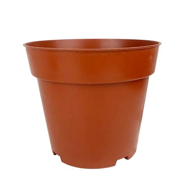 Succulent cog Seedling Planter